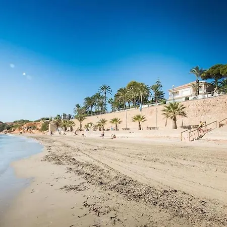 Punta Prima Palm *