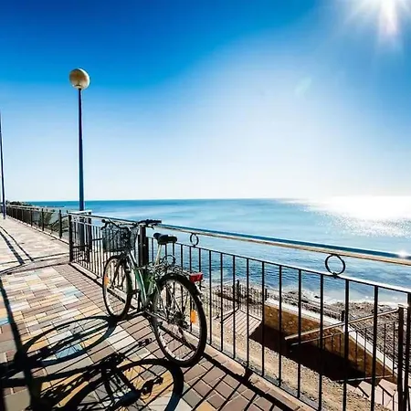 Punta Prima Palm *